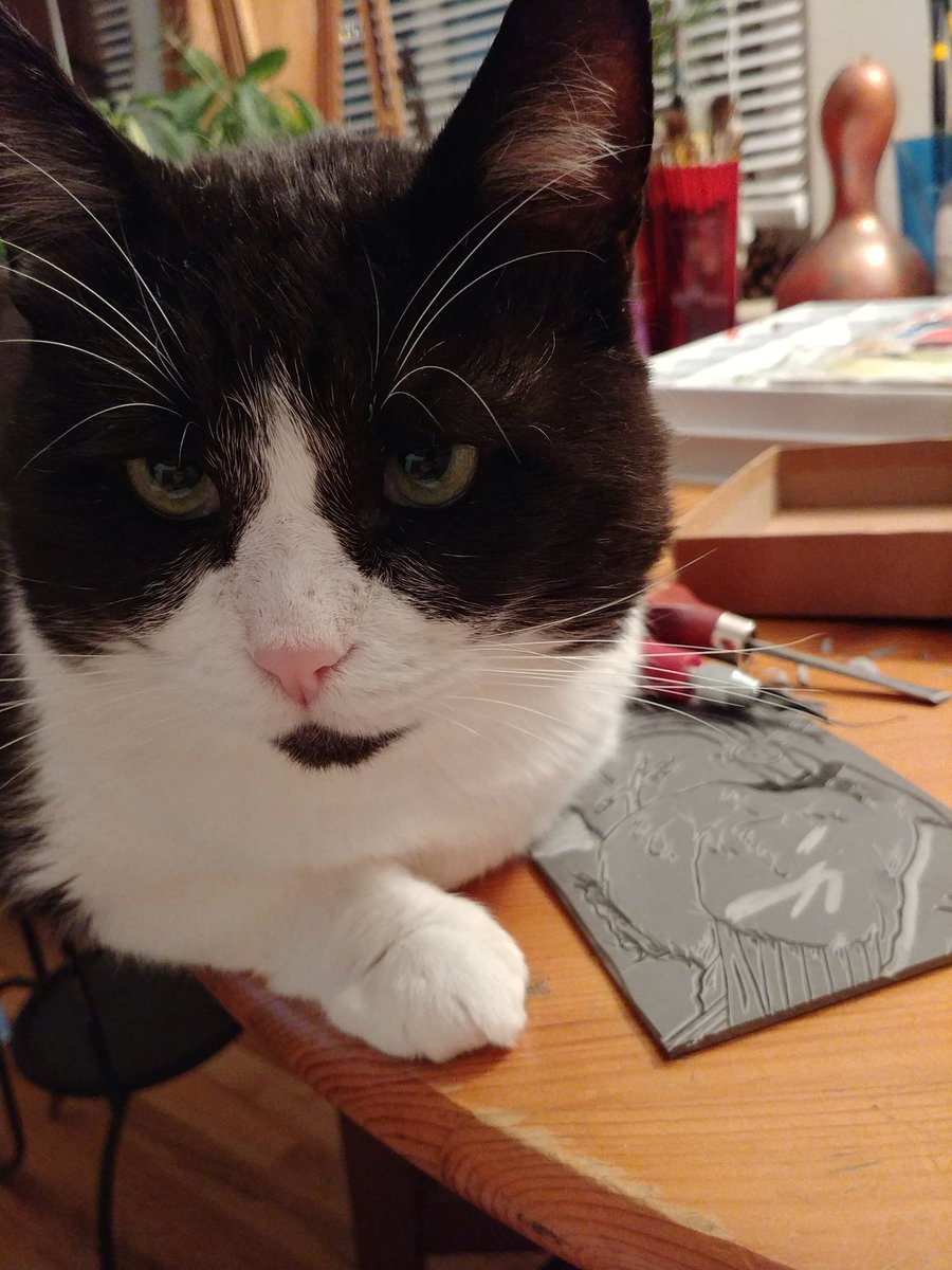 yikesaroonie's tweet image. Lesson learned this speedball lino is a... slippery one, e.g. ink smudges n slide marks. Also Hotdog helped.
#printersolstice #artistsontwitter #wip #print