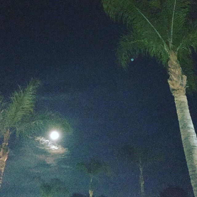 Full Moon between Palm Trees.  #sandiegostyle  #californiawinter bit.ly/2CvtW1B