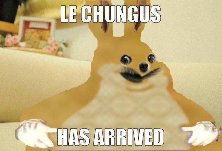 dogeposting's tweet photo. https://t.co/a0lhLBPMyc