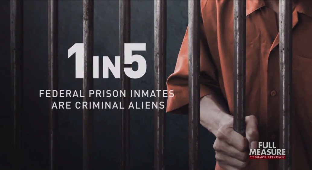 Hundreds of illegal alien invaders released in El Paso