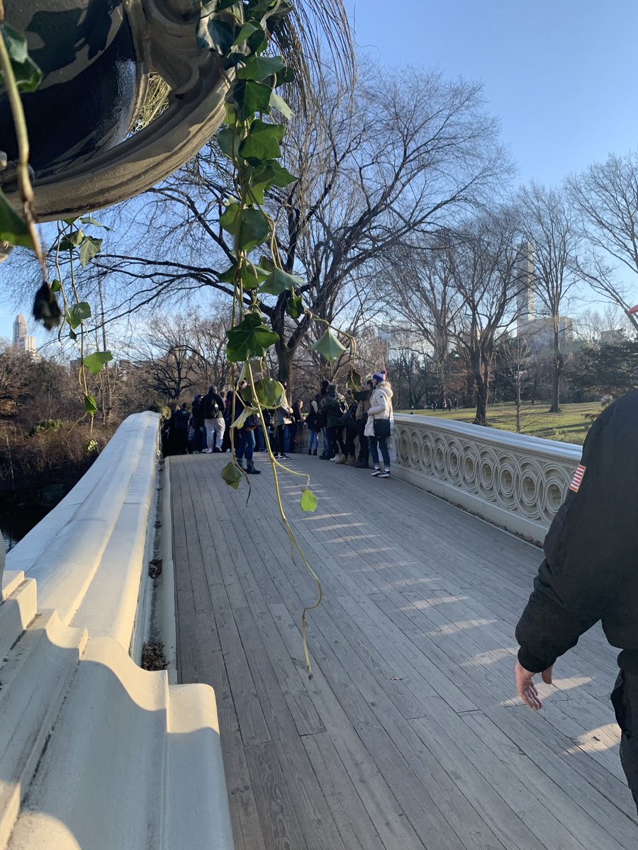 JiuliaS96's tweet photo. •How a long and breathtaking walk in Central Park on a sunny day looks like• #newyorkcity #newyork #centralpark #evergreen #wanderlust #naturephotography #sunny #warm #blue #beautiful #awesome #thecity #stroll #inlove https://t.co/shxw256apr