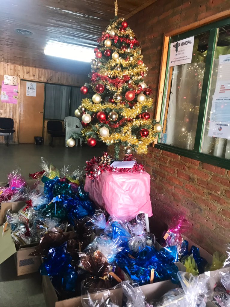 anita_llanca's tweet photo. A pleno hoy, entregando bolsitas navideñas a las familias de Costa 😘 @pilarlarrauri #HayEquipo #Gomez2019 #PVGC https://t.co/QYiwMhMzix