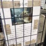 カピバラの死因が壮絶すぎて絶句!動物に学ぶことは多いな…