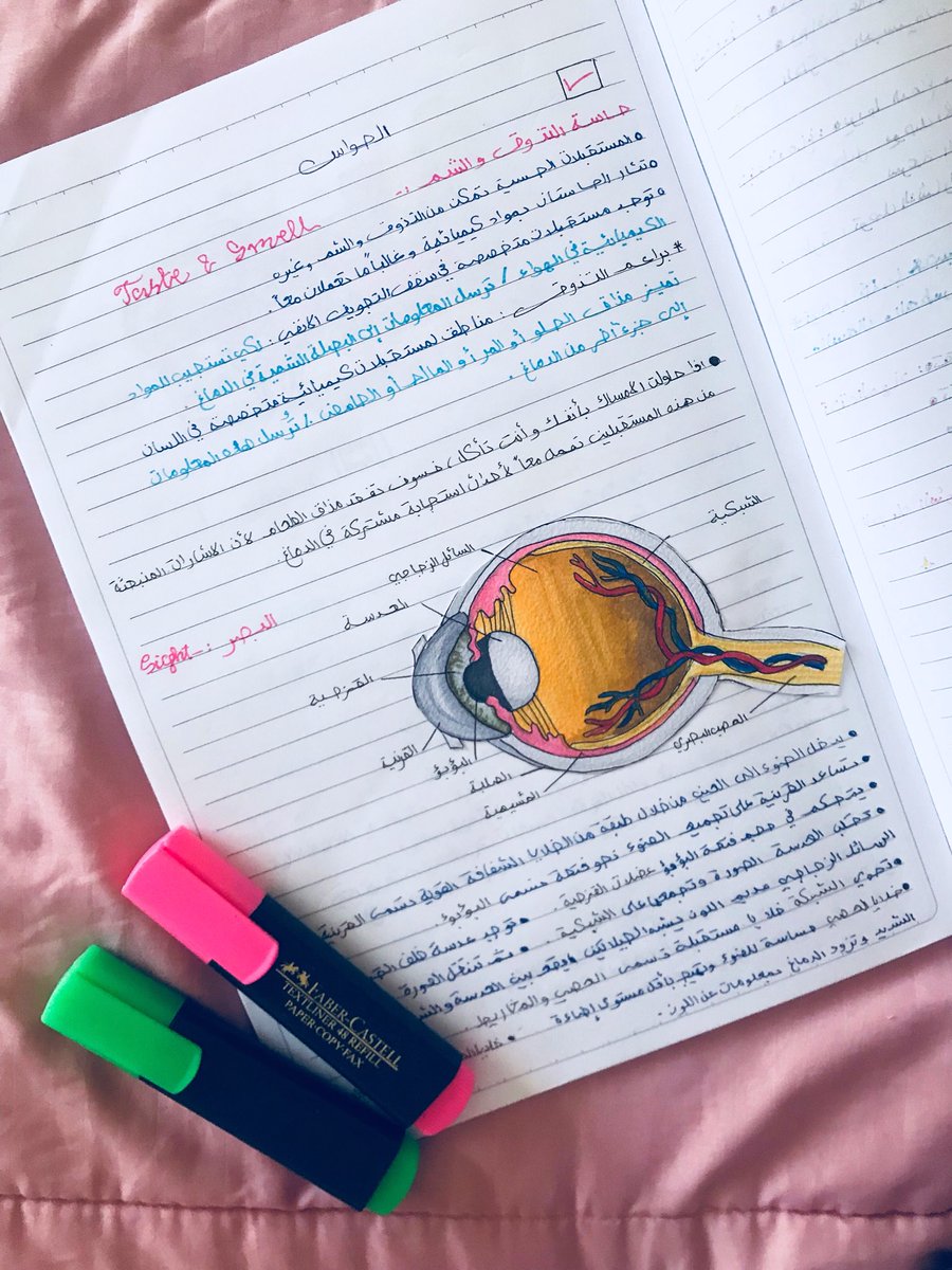 daisyabbott_'s tweet photo. Definitely enjoyed studying biology this semester 🧠💗!! https://t.co/BwqhVbOgk6