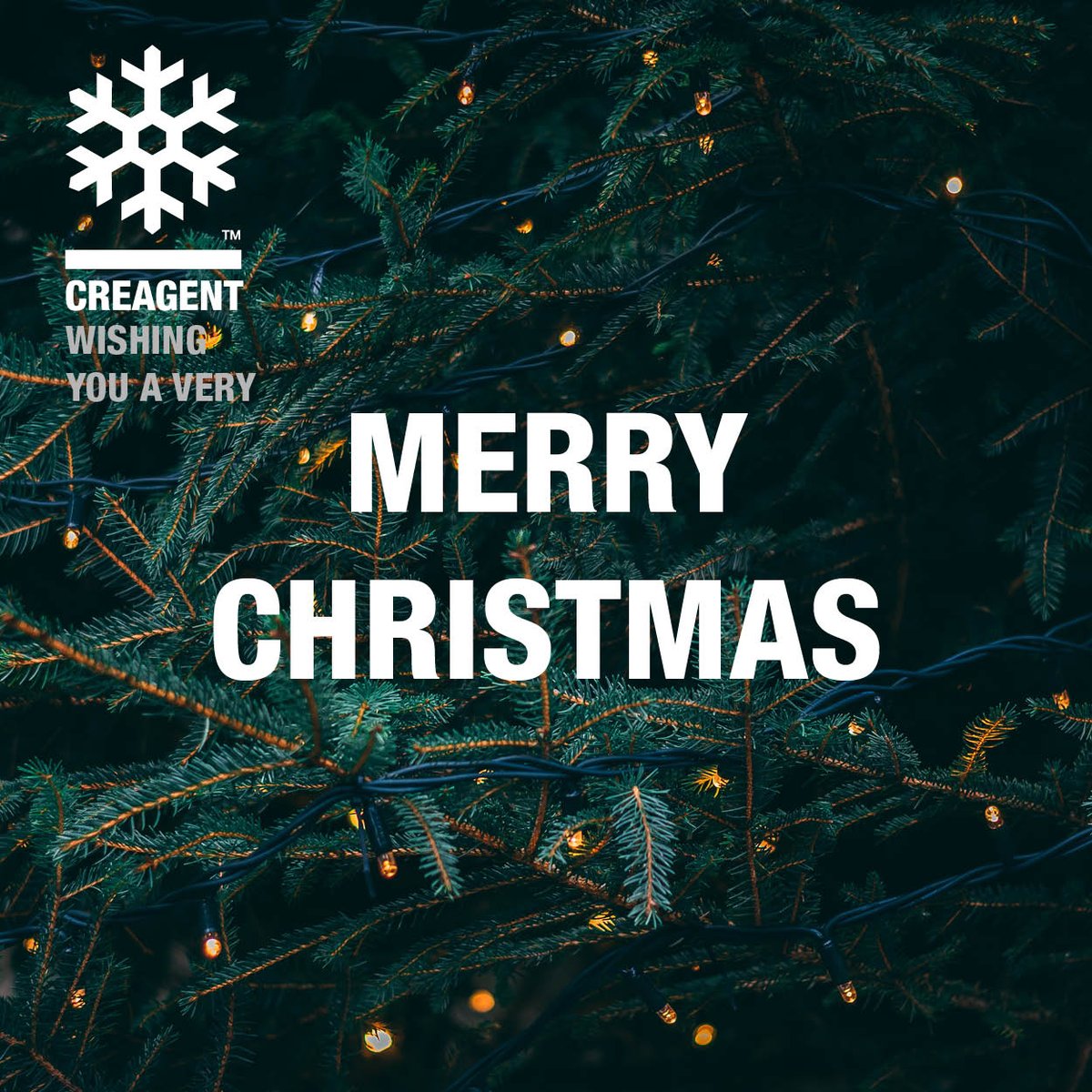 Creagent_Ltd's tweet photo. Merry Christmas everyone! https://t.co/v5a39kjfrL