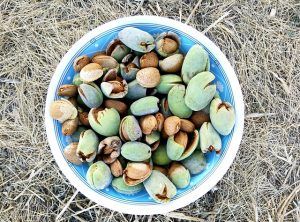 FeastsFor's tweet image. “ ... 'enough is a good as a feast.' ... Hungry people invented that phrase. It’s not a capitalist sentiment, in fact it reverses capitalist logic, but it could become part of a post-capitalist structure of feeling." K S Robinson

buff.ly/2wTtLsG