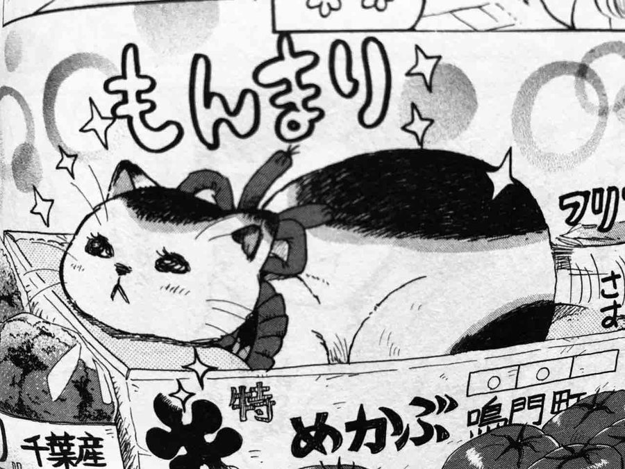 3月のライオン 14巻 ネタバレ 大人の恋の行方は ひなたが秘めた零への切ない想いとは コミック アニメ ドラマ情報館