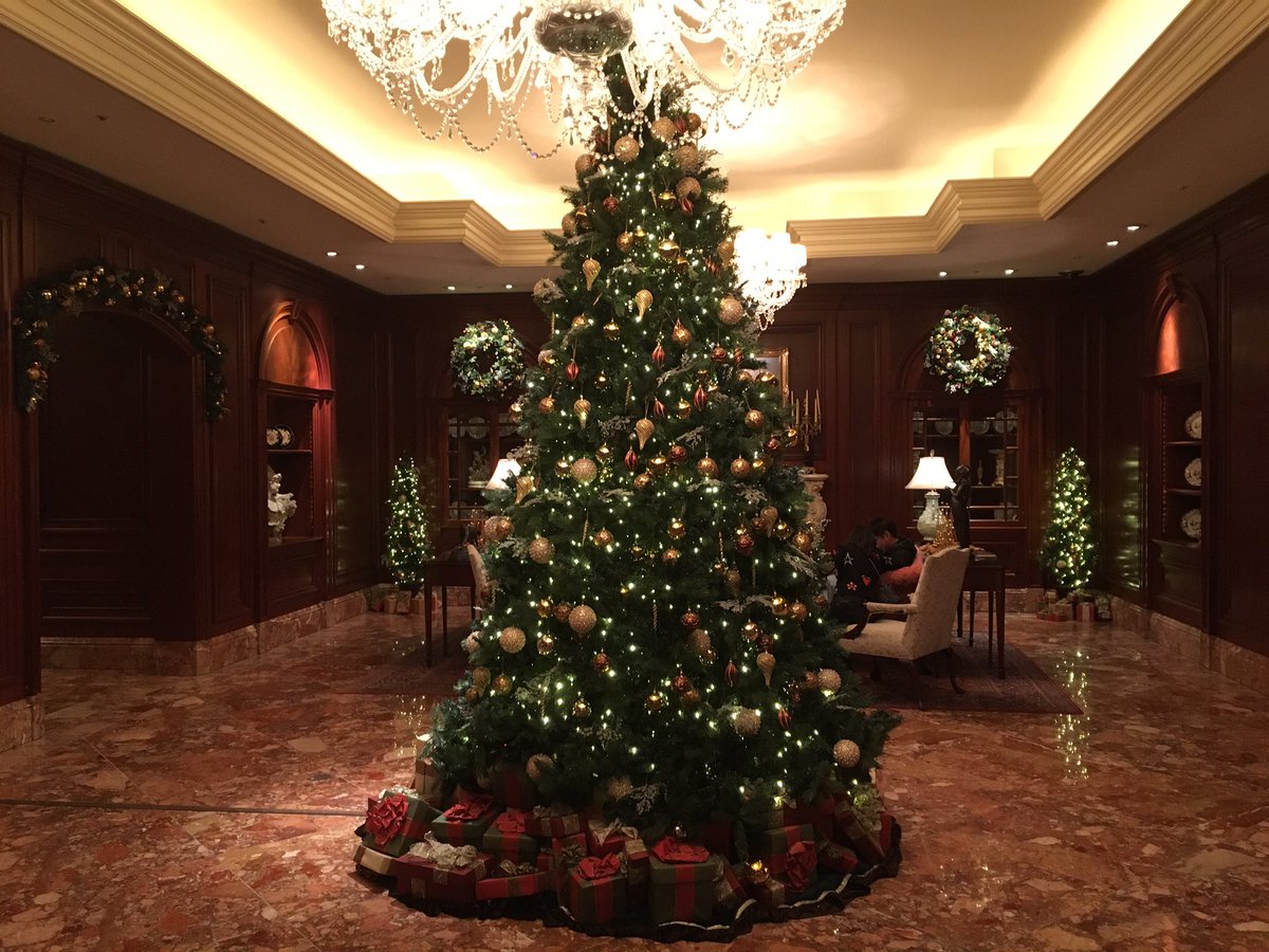 ランディー熱 あつし ロープ カメレオン 袋 卵 スライディーニシルク カード イン レモン 以上15分 ありがとうございました では引き続き行ってきます