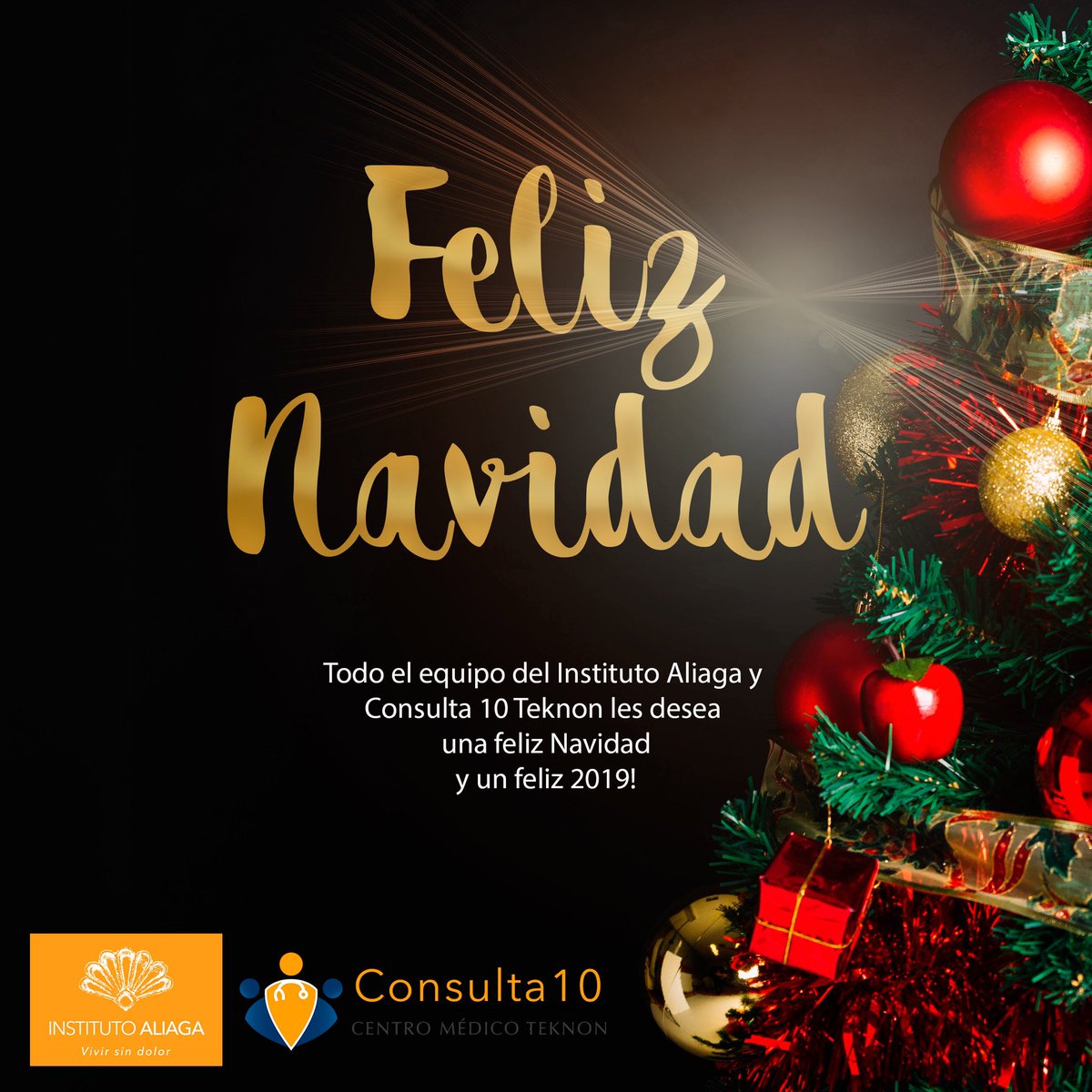 Todo el equipo de Consulta 10 Teknon les desea una Feliz Navidad y una feliz entrada de año!
