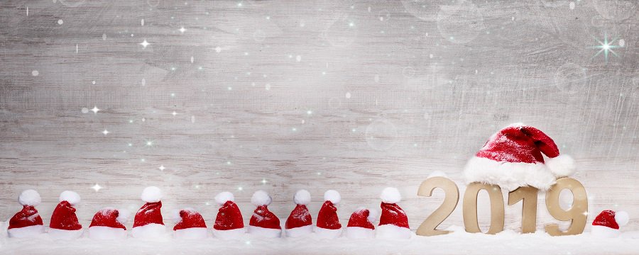 MERRY CHRISTMAS AND A HAPPY NEW YEAR!