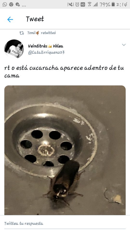 avriyodice's tweet photo. La próxima le voy a dar rt para que no me vuelva a pasar la cajeta de la lora https://t.co/tIk1Bk9W7A