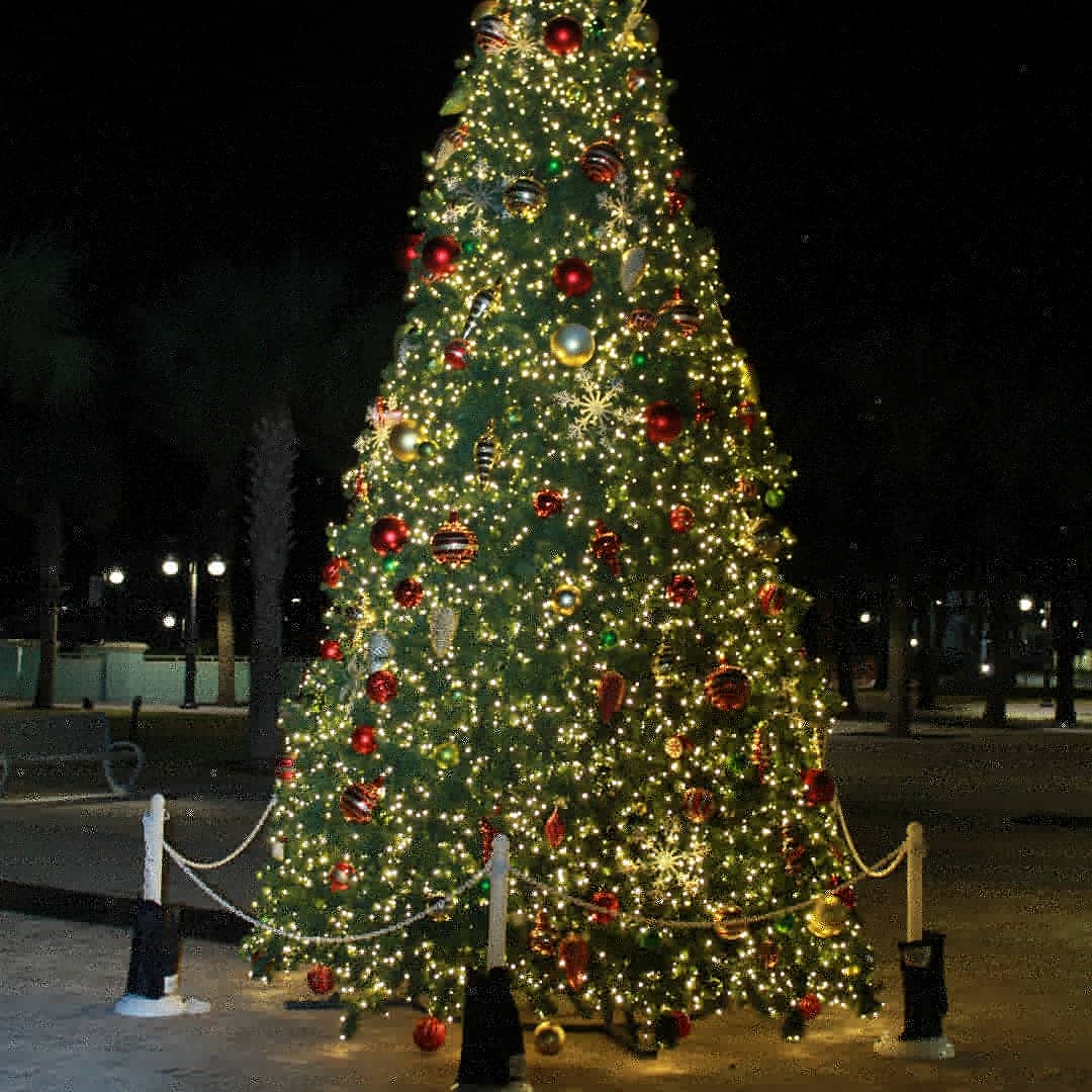 PowerProgam's tweet image. 