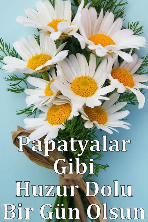 askbeyiserkn's tweet photo. #Günaydın
#Hayırlısabahlar
#HAYIRLI haftalar
#pazartesi
🌼🌼🌼🌼Akan sular durulurmu
🌼🌼🌼Seven gönül yorulurmu
🌼🌼Uykusuz gecen gecelerin
🌼Hesabı gözlerden sorulurmu
#askbeyiserkan https://t.co/r7m7ScvcKh