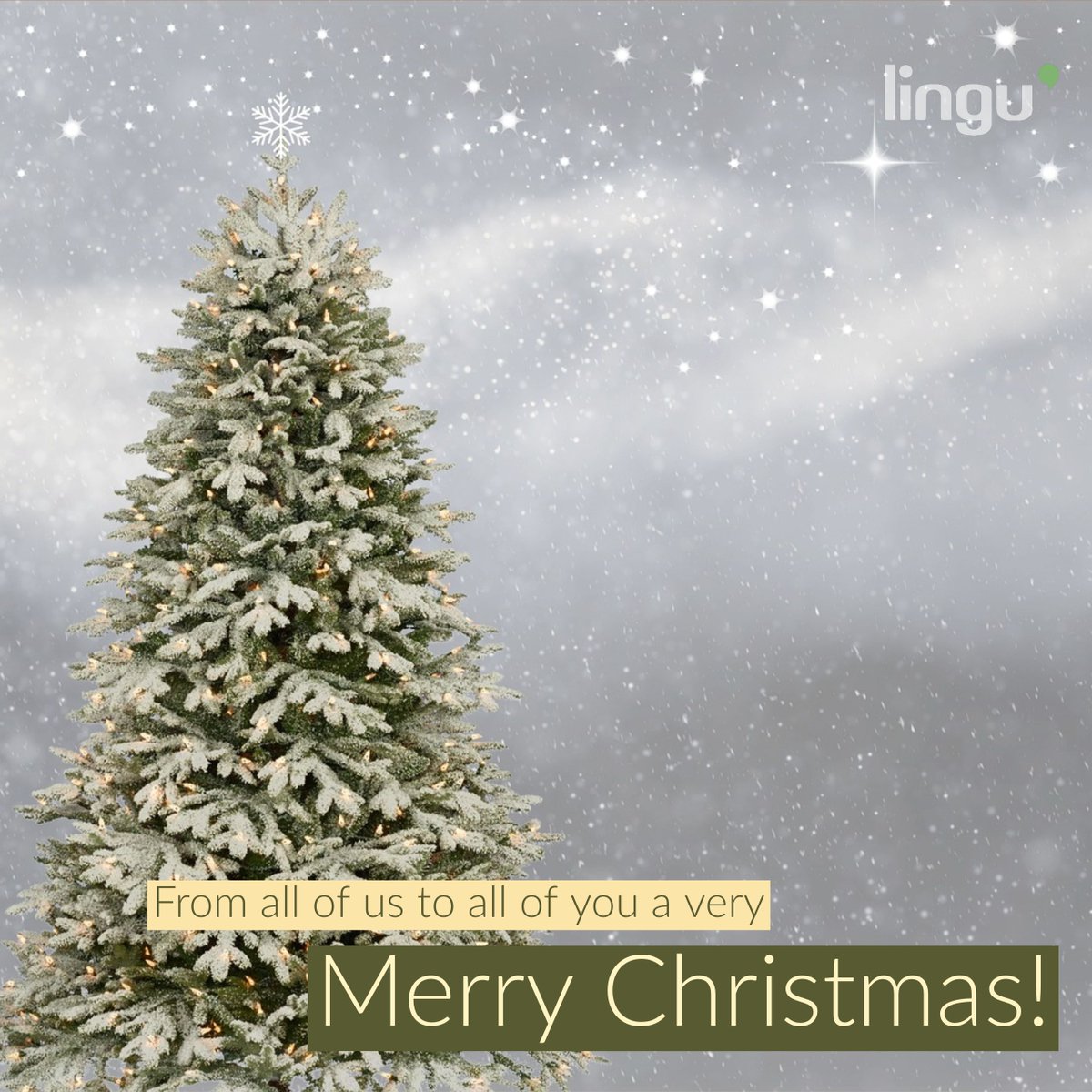 🎄GOD JUL 🎄
Vi vil med dette ønske dere alle sammen en riktig fin høytid. Håper dere får tid til å slappe litt av, nyte koselig selskap og spise masse god mat.

💝 💝 💝 💝 💝

#MerryChristmas #Norway #Norwegian #godjul #linguistics #language #course #instapic #instafun