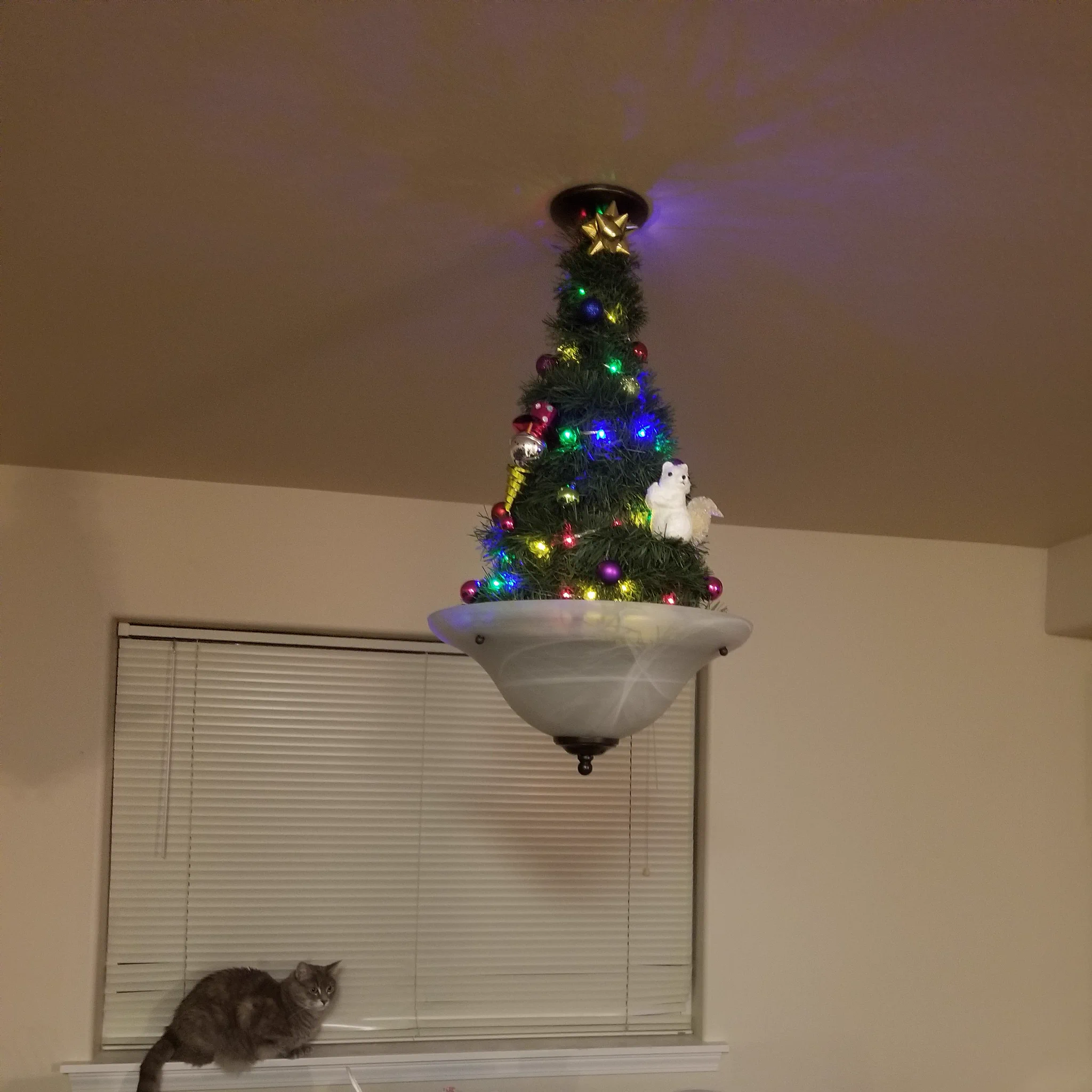 クリスマスツリーのネコ対策がスゴいｗｗｗ気持ちの葛藤がよく分かるｗｗｗ
