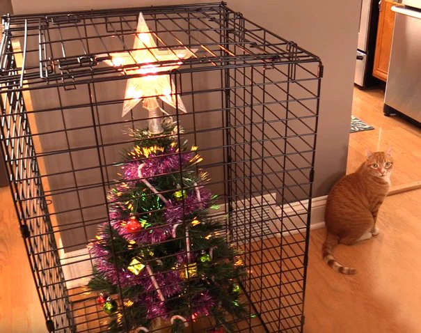 クリスマスツリーのネコ対策がスゴいｗｗｗ気持ちの葛藤がよく分かるｗｗｗ