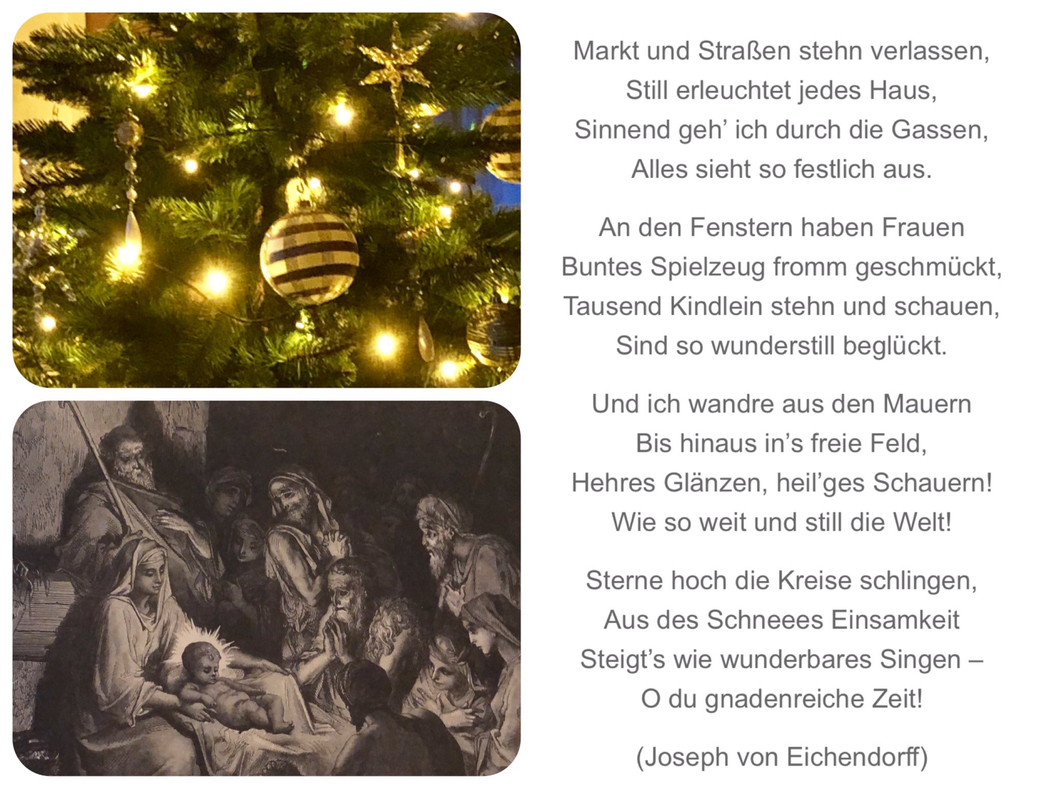 Wolfgang Prum Pruemwolfgang Twitter