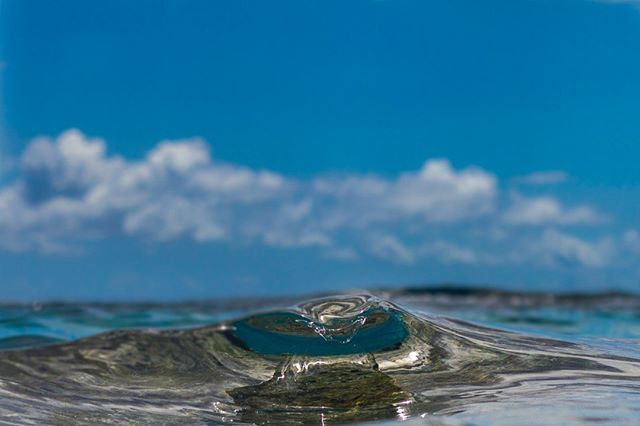 maikomou's tweet photo. Back in Tahiti ! #tahiti #watershot #oceanart #oceanlife #oceanlove #oceanporn #oceanlover #nature #natureporn #natureshots #naturelovers #wave #waveoftheday #waveoftheweek #wavesfordays #wavesonly #waveshots
Shot with @meikon.com.hk @seafrogs.com.hk @saltedline waterhousing https://t.co/5Ujimw1ziB