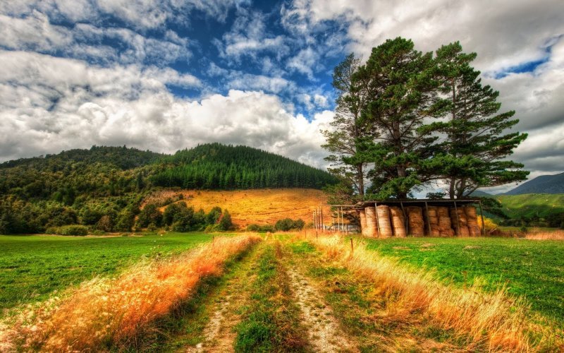 muratbey23's tweet photo. 5 Benefits Of Hiking For Your Health #BenefitsOfHikingForYourHealth #healt #Hiking #nature #thebenefitsof #theforestwalk #walk https://t.co/av5eWdBf9P https://t.co/jpa9QYw64t