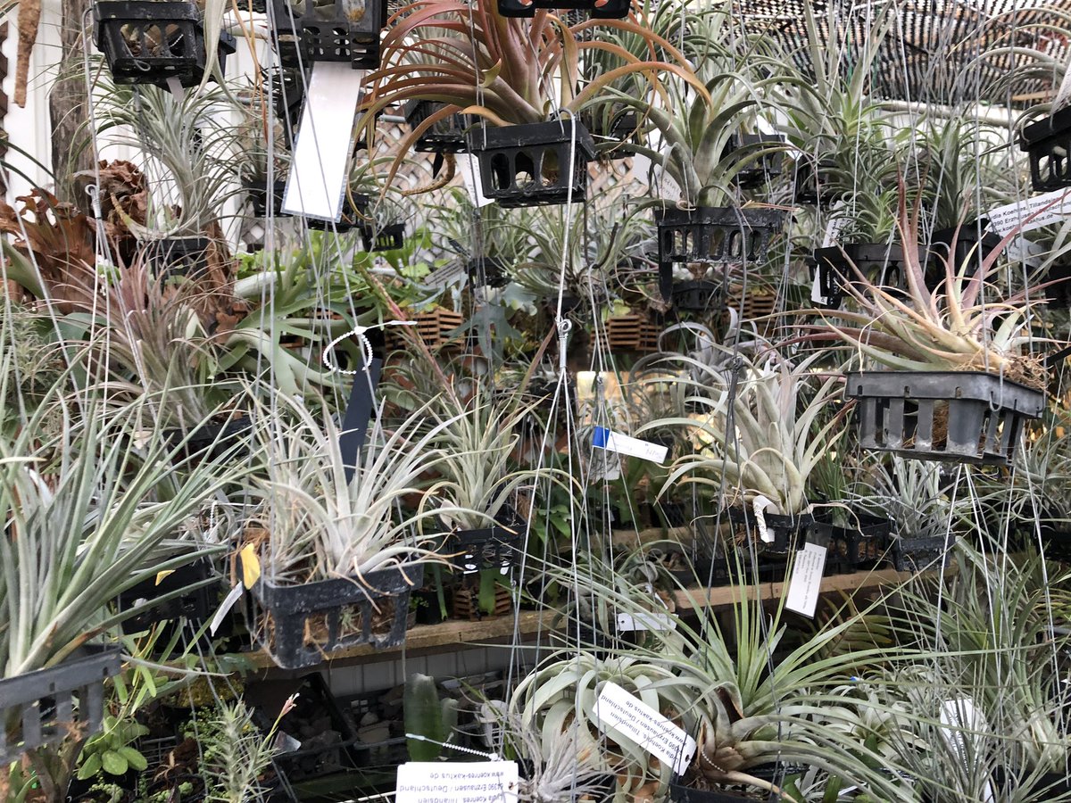 植木屋greenplaza21 植木屋greenplaza21