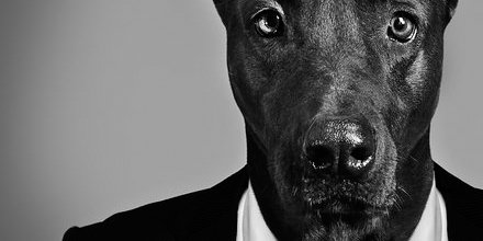 Animal, une espèce d'entrepreneur@acteursdeleco
bit.ly/2DkjLxo