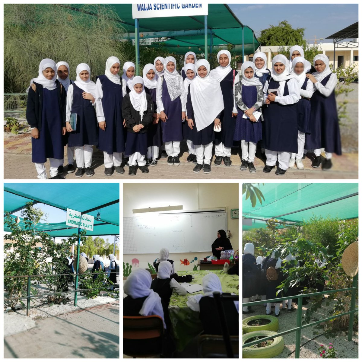 زيارة طالبات الصف السابع من مدرسة عبيدة بنت مسلم من ولاية العامرات 🌿