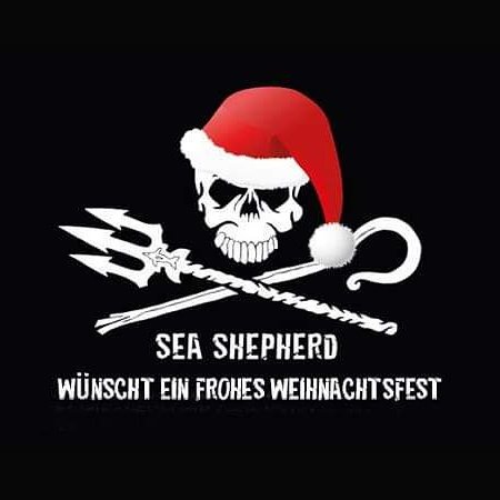 SeaShepherdAT's tweet photo. Wir wünschen Frohe Festtage! Unsere #Volunteers sind auch zu Weihnachten unermüdlich im Einsatz für die Weltmeere! #ExtinctionIsForever https://t.co/JQfxTqhk3n