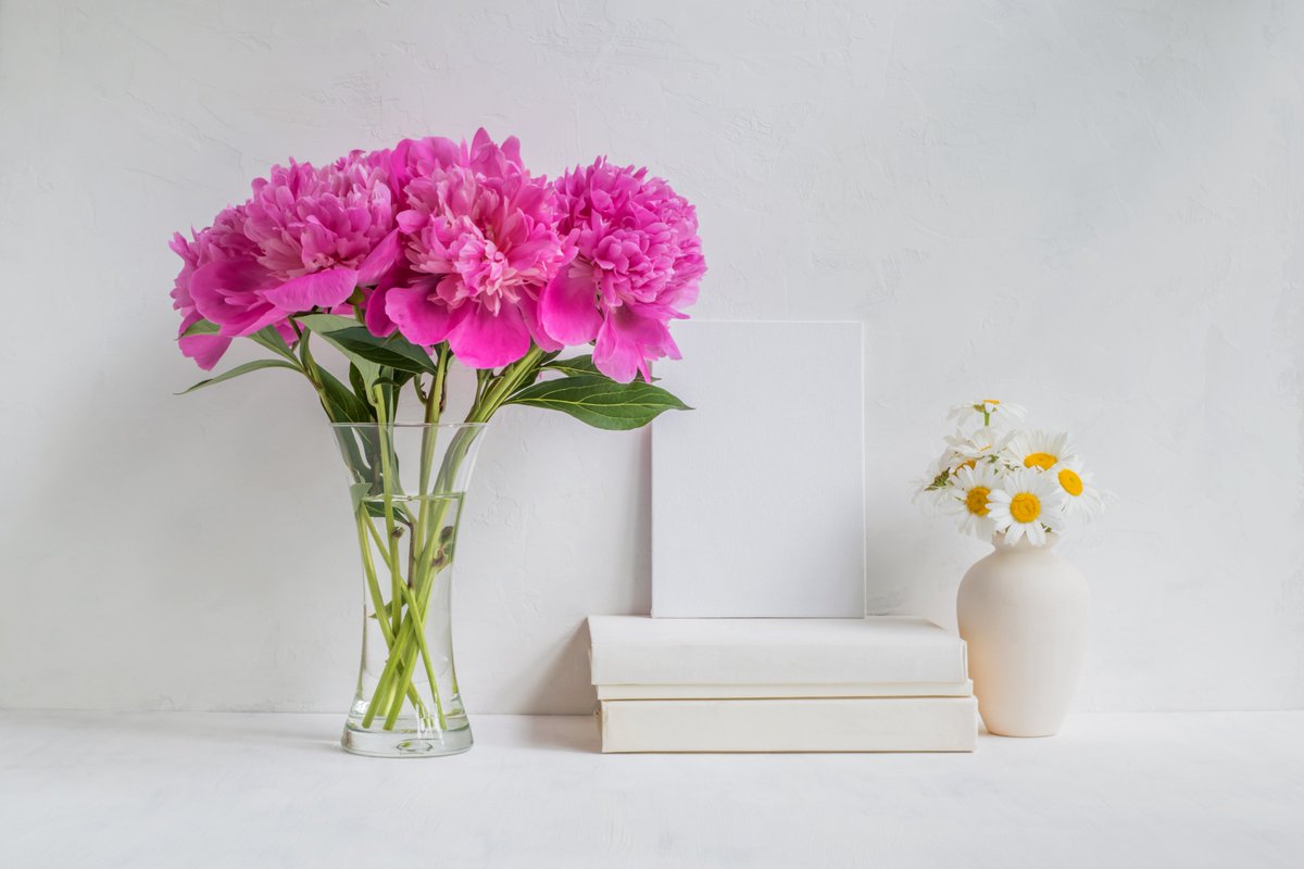 santa_flower's tweet photo. Funeral flowers are symbols of some emotions Visit: https://t.co/4OGmsDF8M6 
#santamonica #samedaydelivery #flowerbouquets #floralarrangements https://t.co/9lXiaMbjUQ