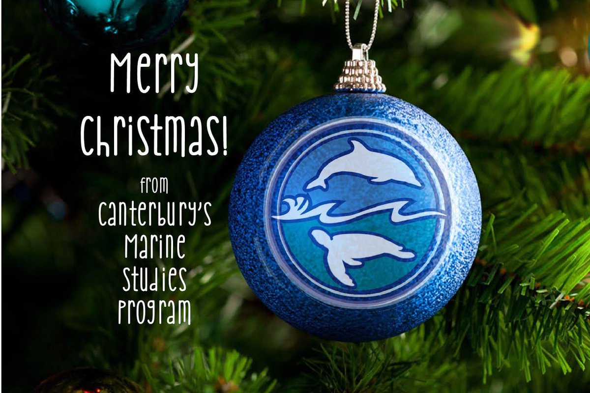 CSFmarine's tweet photo. Wishing everyone a Happy Holiday! #csfmarinestudies #merrychristmas #theresnoplacelikecanterbury #gocsf https://t.co/sjAhJobUvW