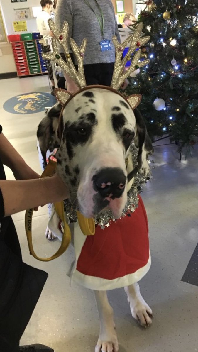 The Starlight Unit @ Wythenshawe tweet media