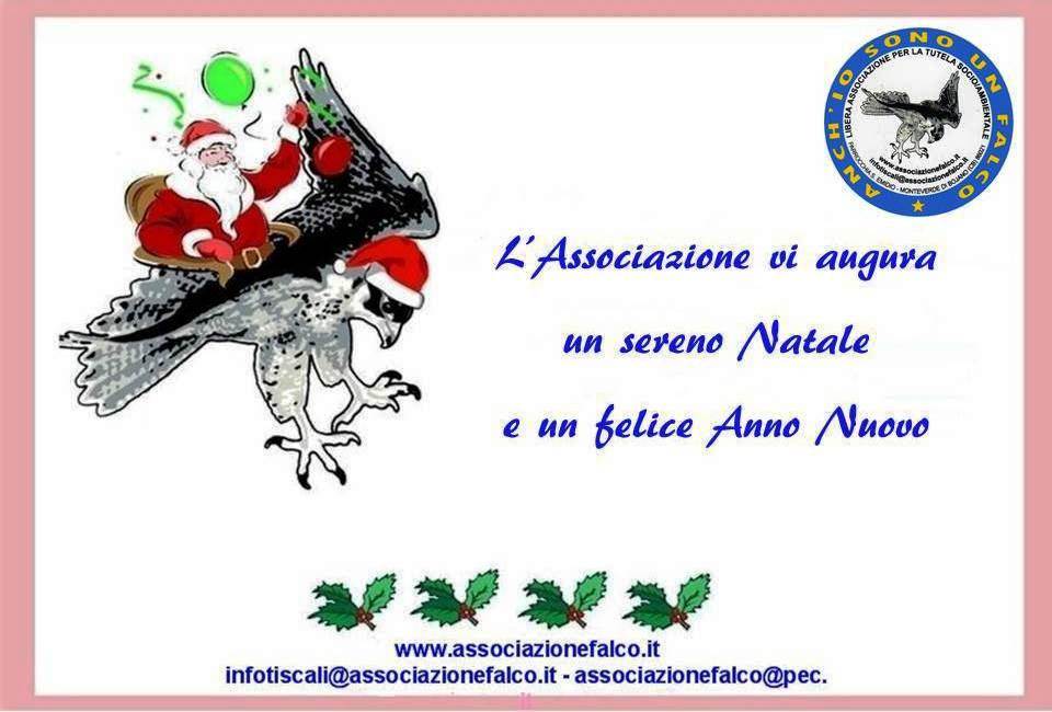 AssocFalco's tweet photo. BUONE FESTE A TUTTI https://t.co/4b3XiXsoDk
