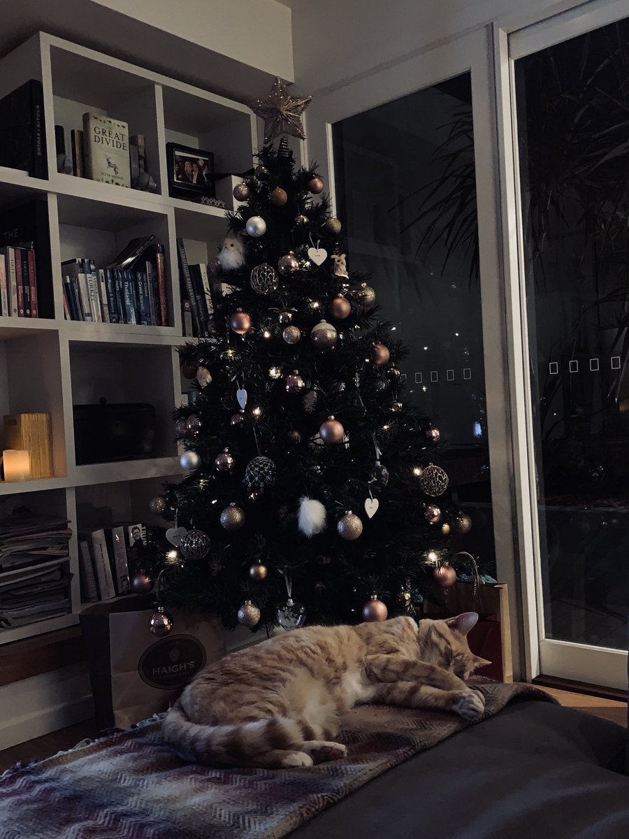 Merry Christmas and a peaceful and prosperous New Year to all!