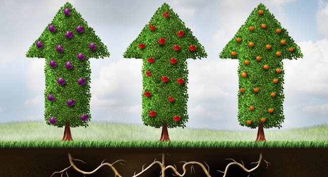 #HappyHolidays from the Sovren Team! 

We want to thank you for being here to share our journey and we wish you a great time along your loved ones.

Let’s keep growing together and make a change in the trading market.

Join the #Sovren family: sovren.app