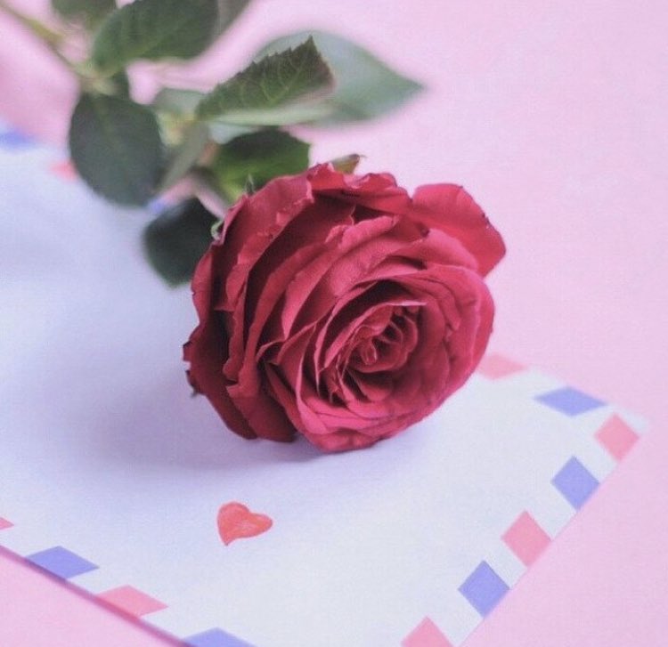 fatimasalimy's tweet photo. ربما لا أبوح بذلك ...أكابر وأكابر ...هي كبرياء المشاعر ...ولكن حقيقةً اشتقت لك ...
رسالة لقلبك ...

ف،،،، https://t.co/61IHmpfcWw