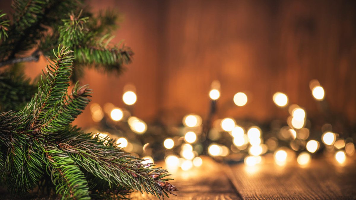 CueFoxCreative's tweet photo. Happy Christmas from CueFox! https://t.co/vwicKoNCLJ