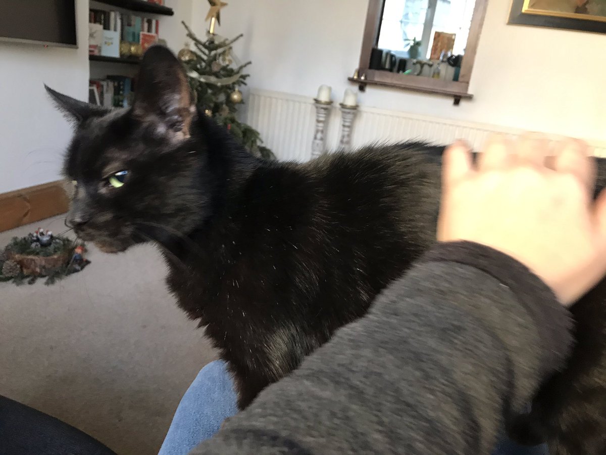 Cat’s Whiskers tweet media