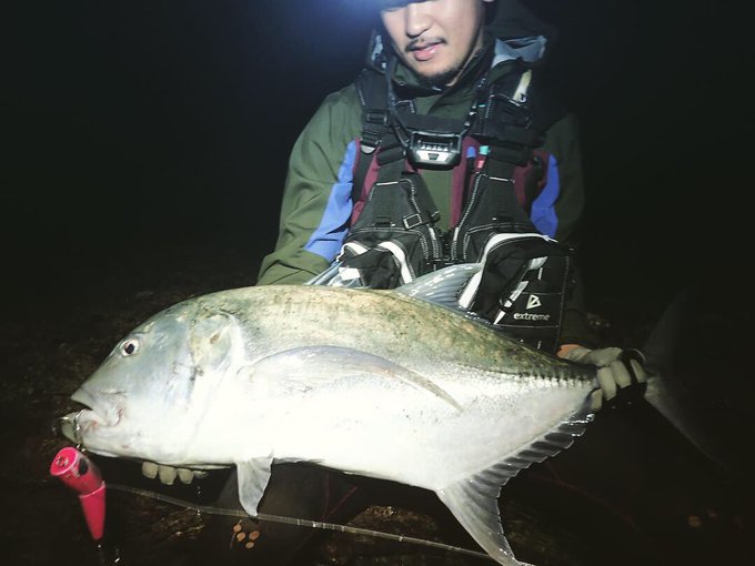 ショアgtのtwitterイラスト検索結果