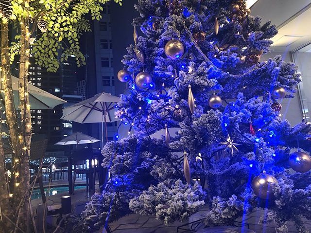 347cafe_lounge's tweet photo. Merry Christmas🎄
本��もたくさんご予約いただいております👧🏻ありがとうございます

素敵な夜になるようにスタッフ一同お手伝いさせていただければと思います❤️ #347cafe https://t.co/Y9Y4EZ5DHd https://t.co/fWaxgXOsgz