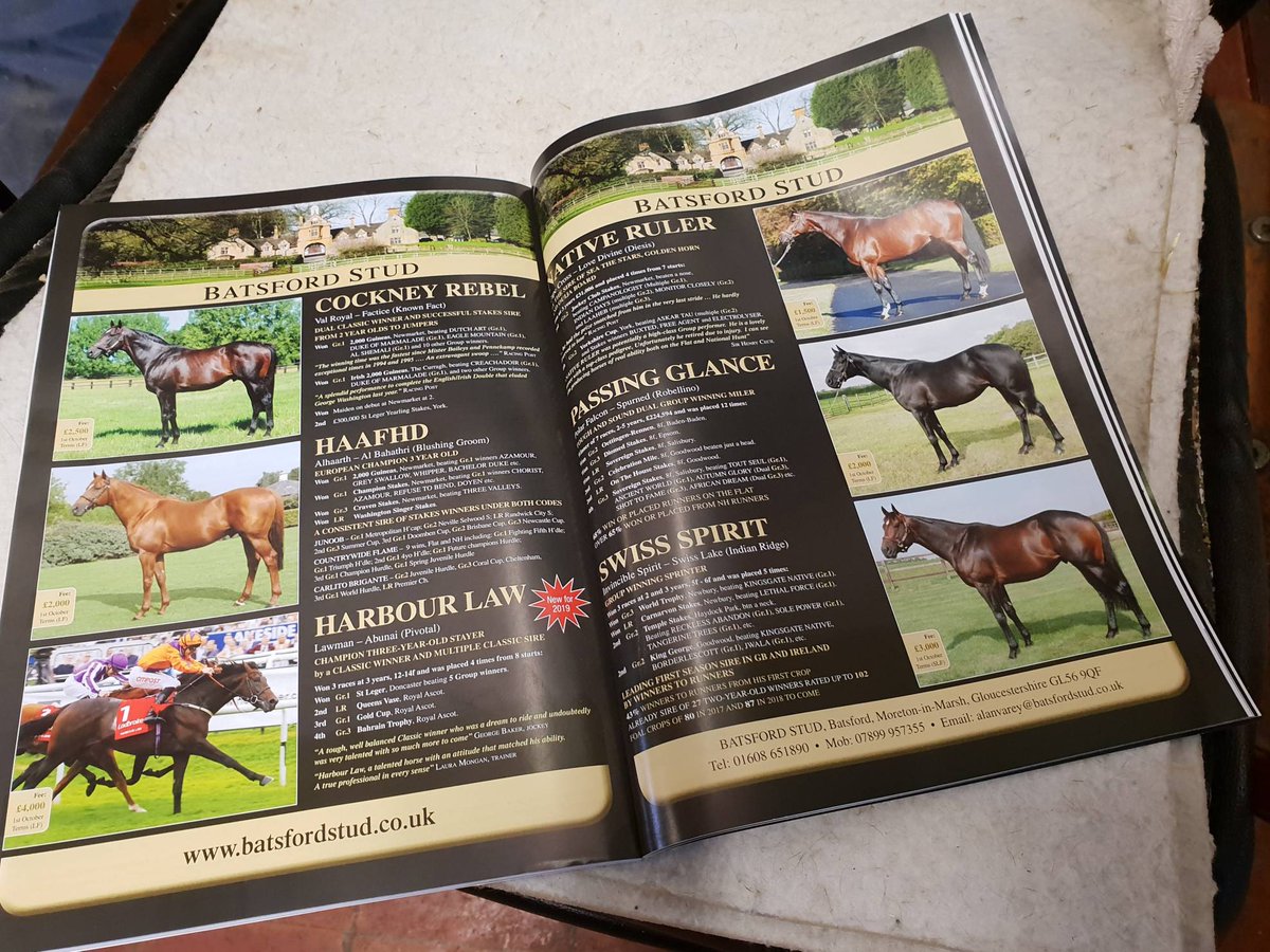 batsfordstud's tweet photo. The January issue of @OwnerBreeder magazine has arrived this morning! 🐎🐎🐎🐎🐎🐎👌 @bloodstocknews  #passingglance #cockneyrebel #haafhd #nativeruler #harbourlaw #swissspirit https://t.co/iJMQRyArCE