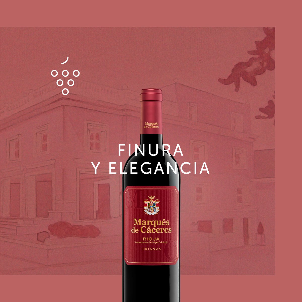 Os presentamos nuestro marqués de Cáceres Crianza. Bodegas de la D.O.Ca La Rioja, Es uno de los vinos con más finura y elegancia que se puede encontrar. 
Es una mezcla de uva #Tempranillo #Garnacha y #Graciano.
#vinoscovigran #Enolovers