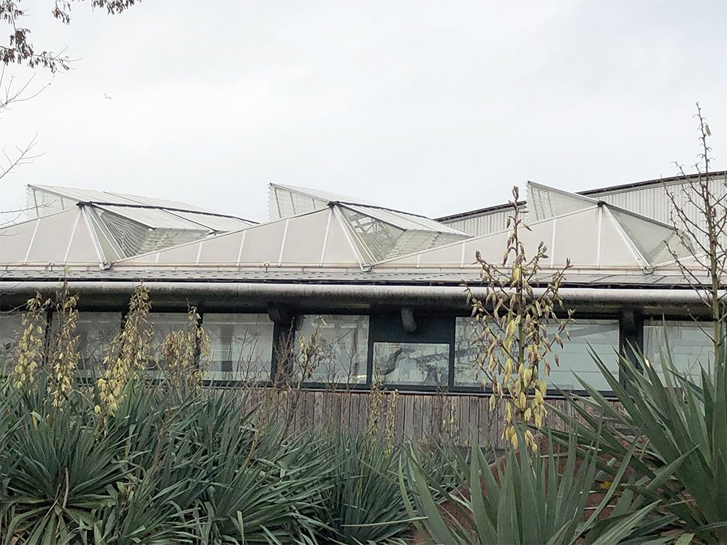 HollandGaas's tweet photo. Holland Gaas goes to the zoo! Our netting systems are not only effective for keeping out insects, but also birds. #zoo #blijdorp #netherlands #nettingsolutions https://t.co/jQqALI6q9W