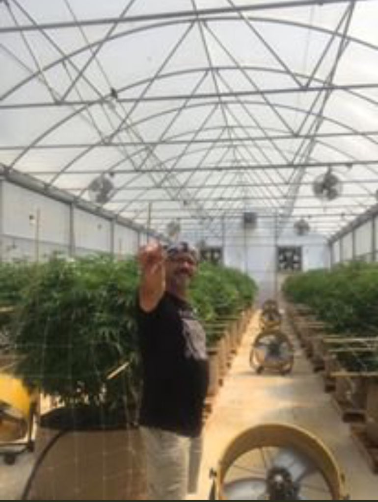 David4278344148's tweet photo. ππIt's a new day at the office fam. ππThe bags already being put together for Today orders π
#loud_Gazππ
#TOP_SHELF π
#ORDER_NOWππ
-Fire?????????????
Hit me if u?? are interested .
#real fire ????πππ https://t.co/1Vdc3fbBdD