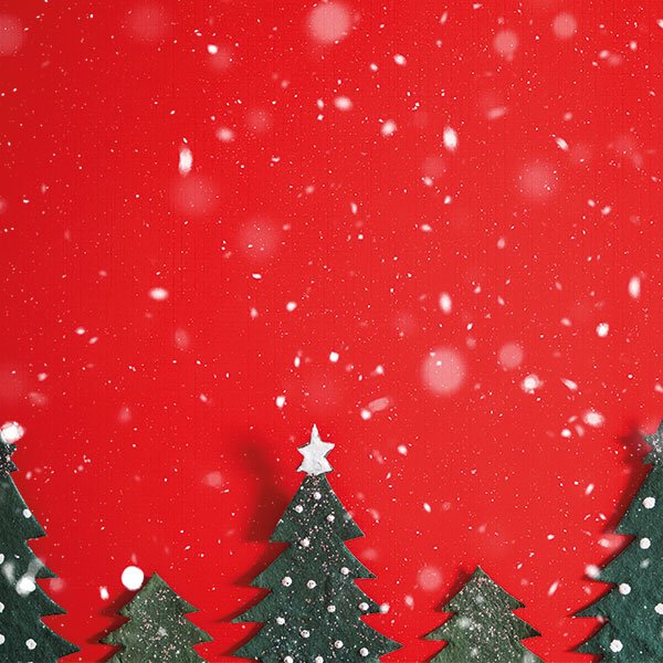 May we take the opportunity to wish you and your family a very merry Christmas and the warmest wishes for the New Year.  Here's a quick reminder of our opening hours during the Christmas period. #OneMoreSleep ow.ly/NPvs30mSZbF