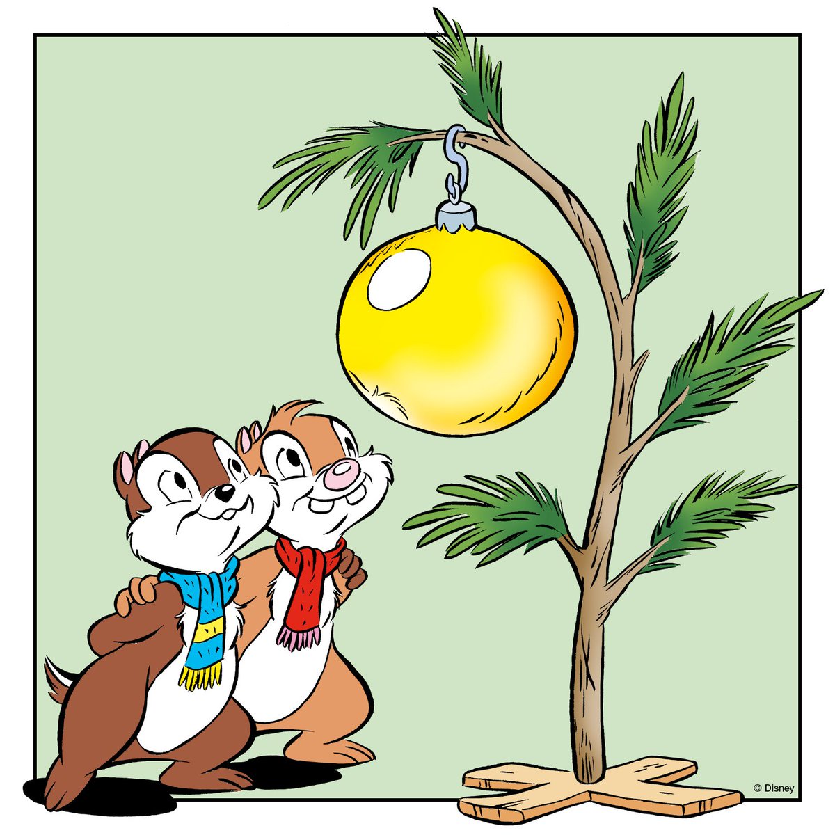 Onze boom staat weer, hoor!