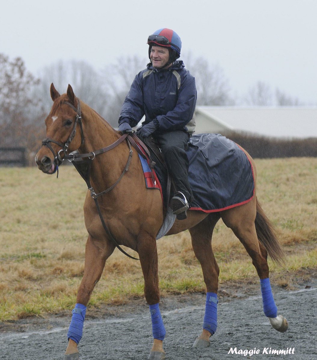Maggie_Kimmitt's tweet image. Making spirits bright: Four years ago today, #RingWeekend and #MainSequence breezed on a rainy Christmas Eve morning at Fair Hill. @BreedersCup @westpointtbred @HerringswellStb @walshrobertr  🏇🎄🎅🏻