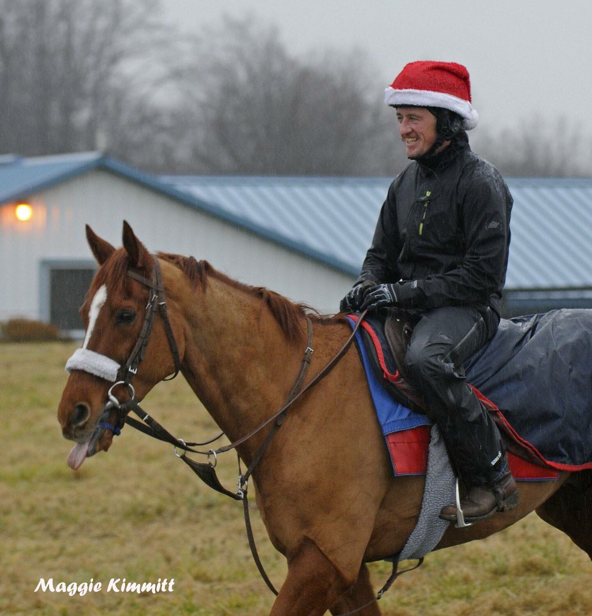 Maggie_Kimmitt's tweet image. Making spirits bright: Four years ago today, #RingWeekend and #MainSequence breezed on a rainy Christmas Eve morning at Fair Hill. @BreedersCup @westpointtbred @HerringswellStb @walshrobertr  🏇🎄🎅🏻