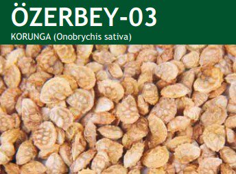 tigemgovtr's tweet photo. TİGEM 2018-19 YAZLIK KORUNGA TOHUMLUĞU ÇEŞİDİ: ÖZERBEY
@TCTarim @aosman0619
#tohum #sertifikalıtohumluk #tarım #seed #cerrifiedseed #korunga #yembitkisi #forage #sainfoin #hayvancılık https://t.co/lUhu4MYwj6