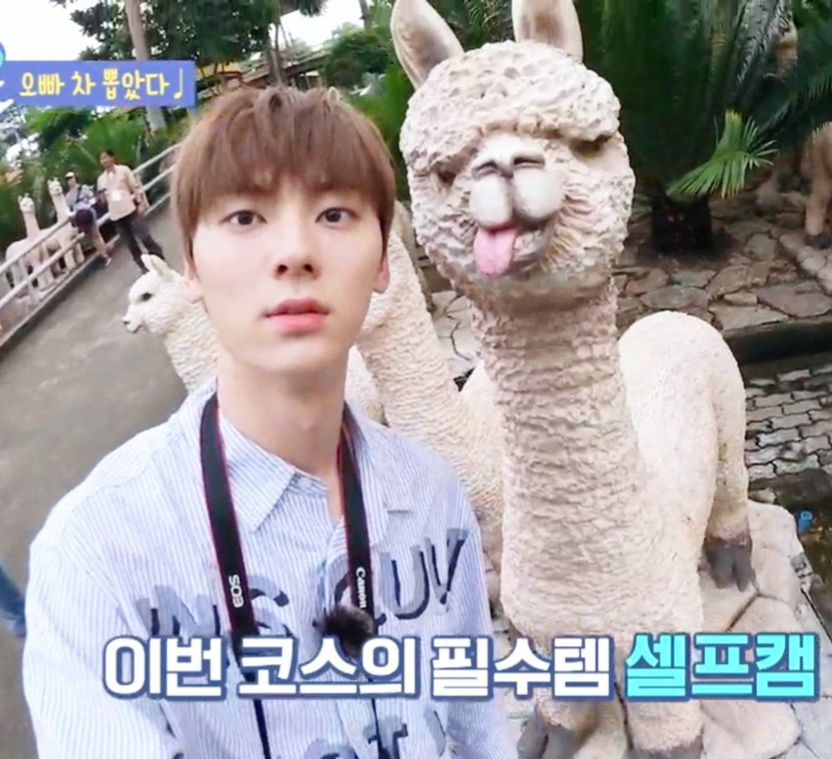 Minhyun the cat tweet media