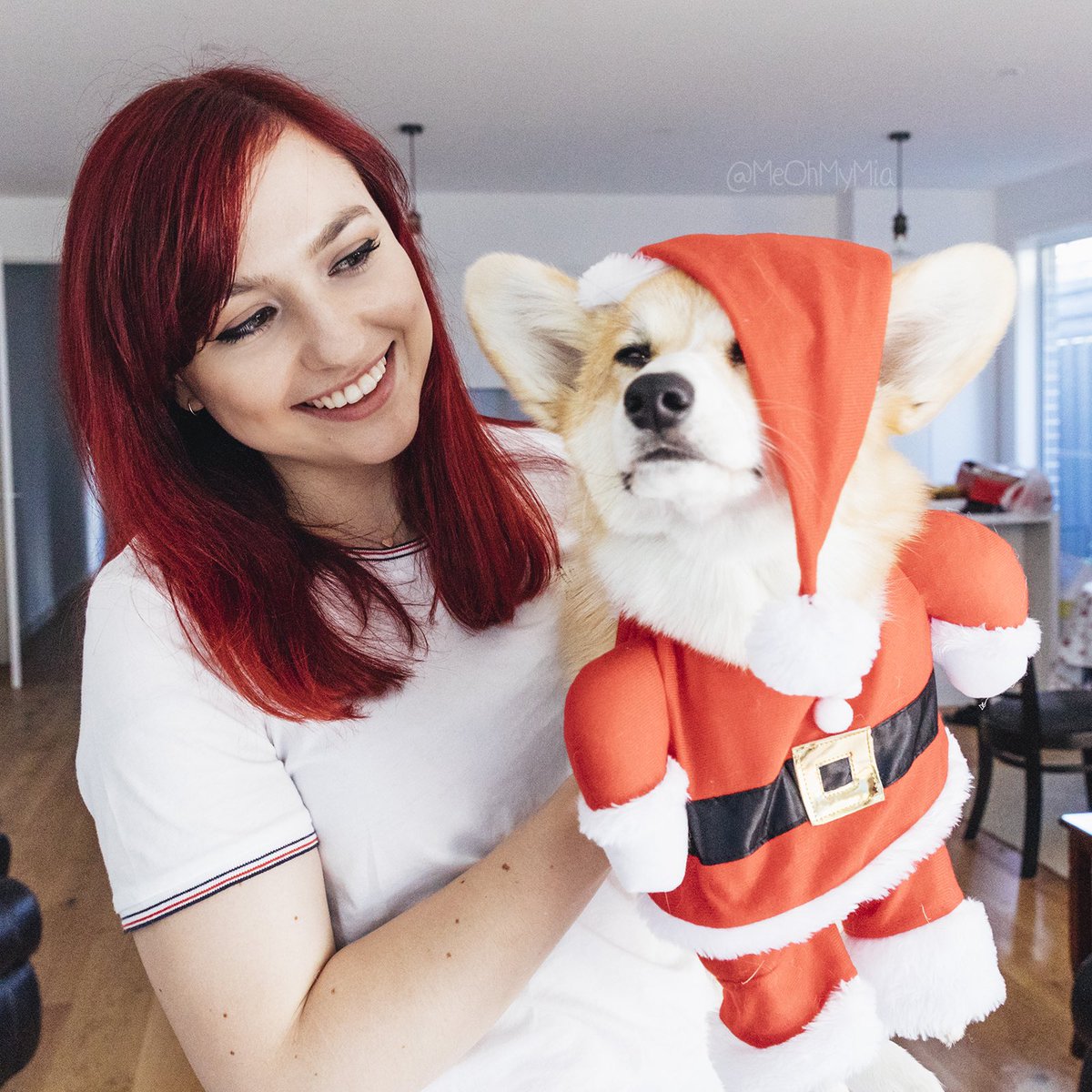 meohmymia's tweet photo. Last pic my Santa hat was on point ๐๐ป ...but this time around Iโm going for a more โemoโ Santa side fringe kinda look to reflect how my wallets feeling ๐ฉ
๐พ
๐พ
๐พ
#MeOhMyMia #MiaTheCorgi #melbourne #australia #corgi #corgipuppy #santa #santahat #emosanta #santadog https://t.co/jsa4X9M5xV