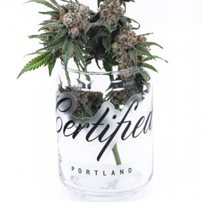 certifiedpdx's tweet photo. #NewProfilePic https://t.co/QvpPCI1o5B